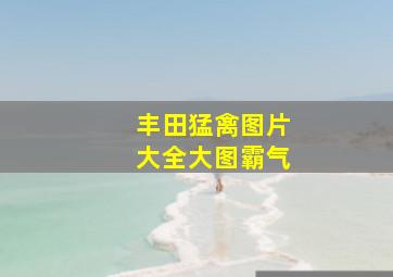 丰田猛禽图片大全大图霸气