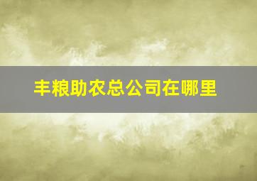 丰粮助农总公司在哪里