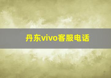 丹东vivo客服电话