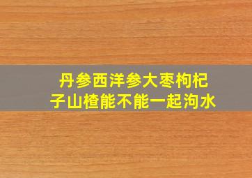 丹参西洋参大枣枸杞子山楂能不能一起泃水