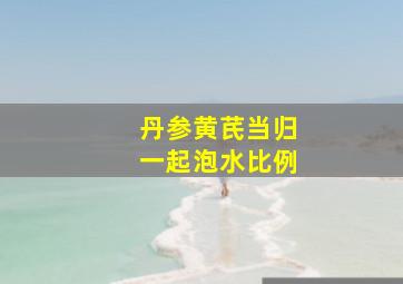 丹参黄芪当归一起泡水比例