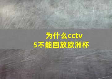 为什么cctv5不能回放欧洲杯