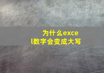 为什么excel数字会变成大写