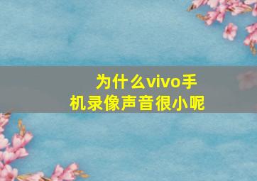 为什么vivo手机录像声音很小呢