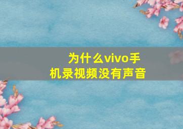 为什么vivo手机录视频没有声音