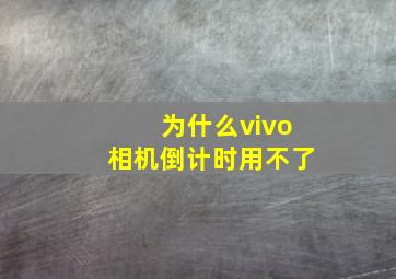 为什么vivo相机倒计时用不了