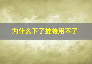 为什么下了推特用不了