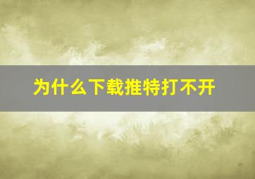 为什么下载推特打不开