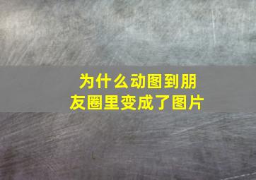 为什么动图到朋友圈里变成了图片