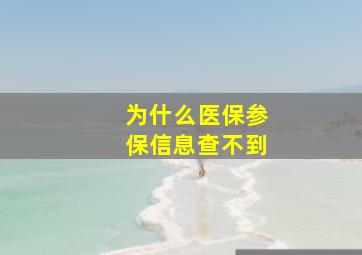 为什么医保参保信息查不到