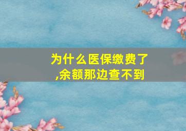 为什么医保缴费了,余额那边查不到