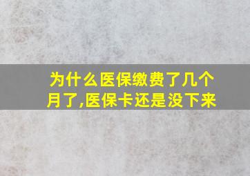 为什么医保缴费了几个月了,医保卡还是没下来