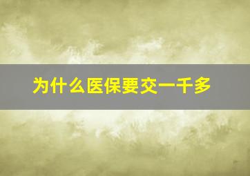 为什么医保要交一千多