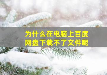 为什么在电脑上百度网盘下载不了文件呢