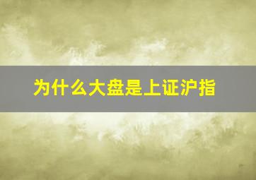 为什么大盘是上证沪指