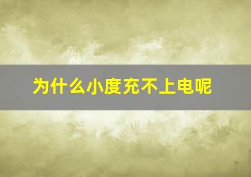 为什么小度充不上电呢