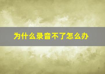 为什么录音不了怎么办