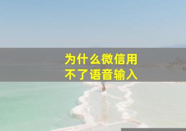 为什么微信用不了语音输入