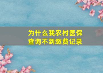 为什么我农村医保查询不到缴费记录