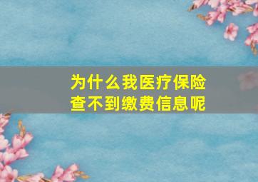 为什么我医疗保险查不到缴费信息呢