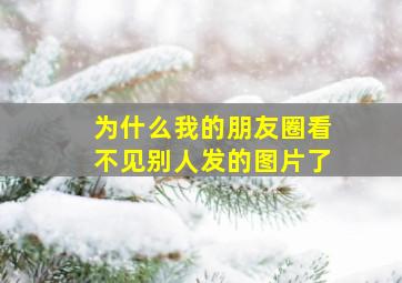 为什么我的朋友圈看不见别人发的图片了