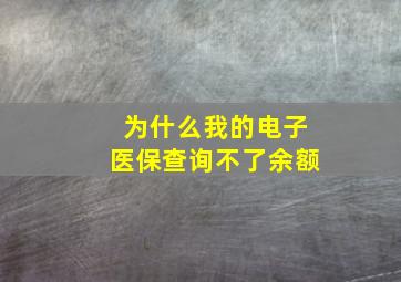 为什么我的电子医保查询不了余额