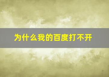 为什么我的百度打不开