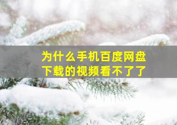 为什么手机百度网盘下载的视频看不了了