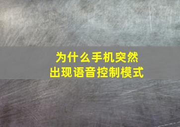 为什么手机突然出现语音控制模式