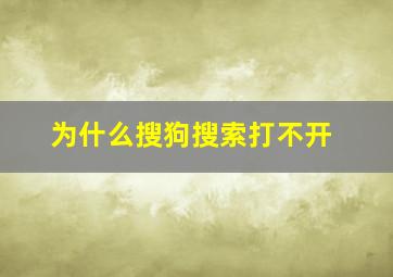 为什么搜狗搜索打不开