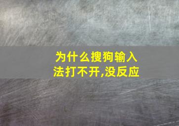 为什么搜狗输入法打不开,没反应