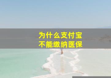 为什么支付宝不能缴纳医保