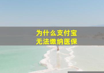 为什么支付宝无法缴纳医保