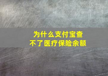 为什么支付宝查不了医疗保险余额