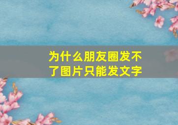 为什么朋友圈发不了图片只能发文字