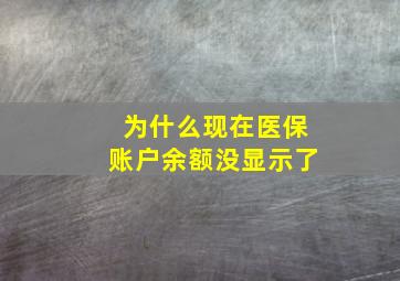 为什么现在医保账户余额没显示了