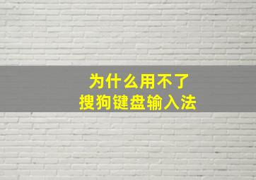 为什么用不了搜狗键盘输入法