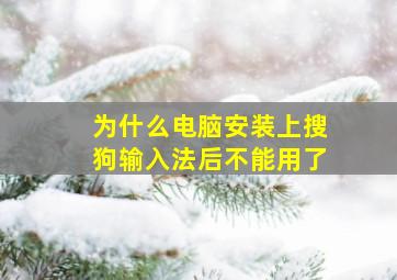 为什么电脑安装上搜狗输入法后不能用了