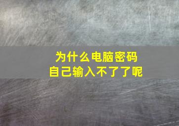 为什么电脑密码自己输入不了了呢