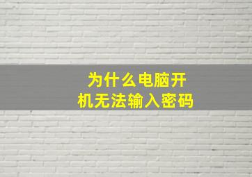 为什么电脑开机无法输入密码