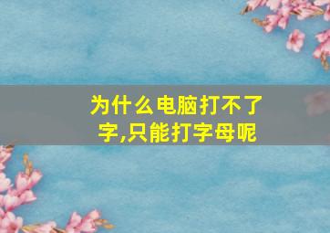 为什么电脑打不了字,只能打字母呢