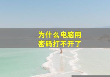 为什么电脑用密码打不开了