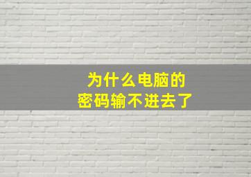 为什么电脑的密码输不进去了