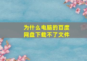 为什么电脑的百度网盘下载不了文件