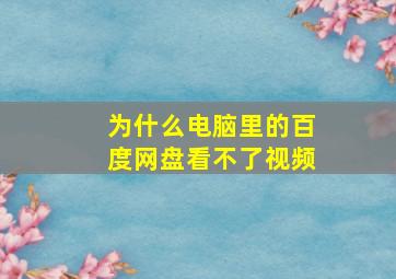 为什么电脑里的百度网盘看不了视频