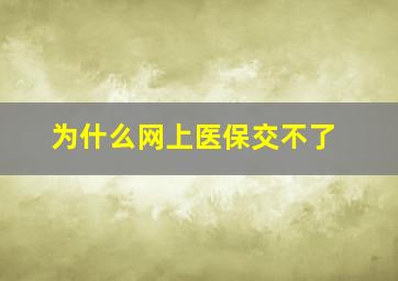 为什么网上医保交不了