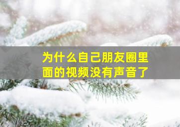 为什么自己朋友圈里面的视频没有声音了