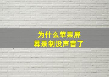 为什么苹果屏幕录制没声音了