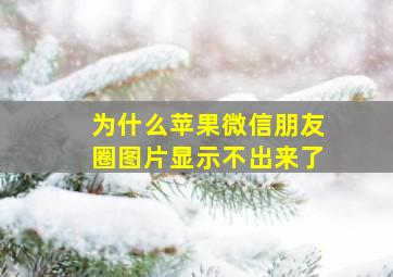 为什么苹果微信朋友圈图片显示不出来了