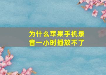 为什么苹果手机录音一小时播放不了